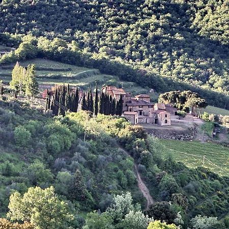 Residenza Antico Chianti Guest House Panzano in Chianti Екстериор снимка