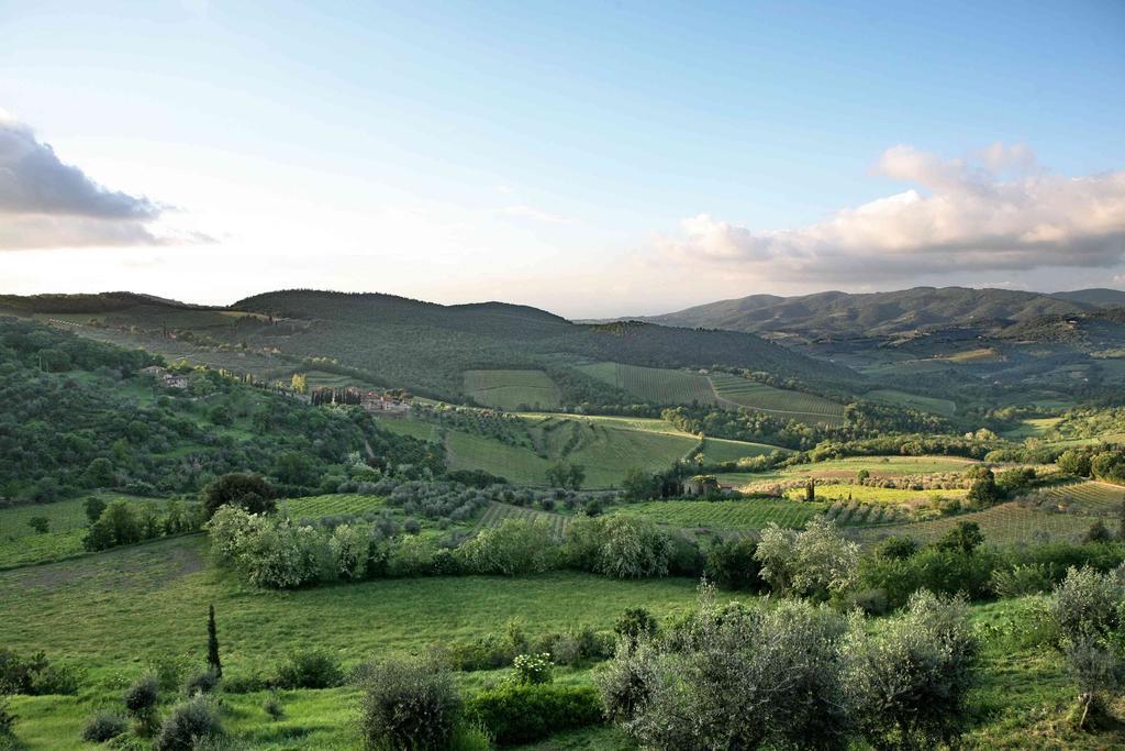 Residenza Antico Chianti Guest House Panzano in Chianti Екстериор снимка
